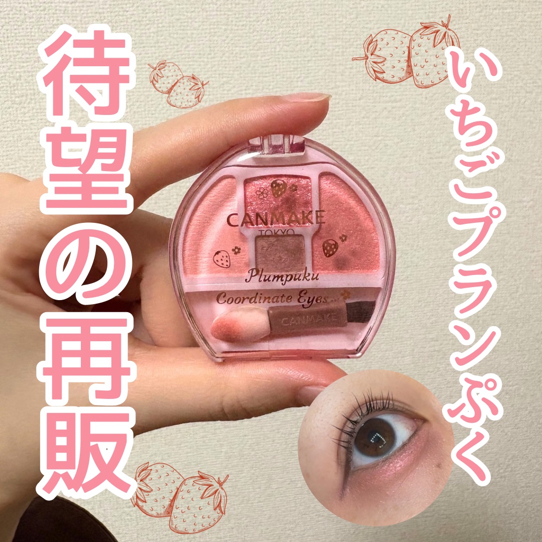 プランぷくコーデアイズ/キャンメイク/パウダーアイシャドウを使ったクチコミ（1枚目）