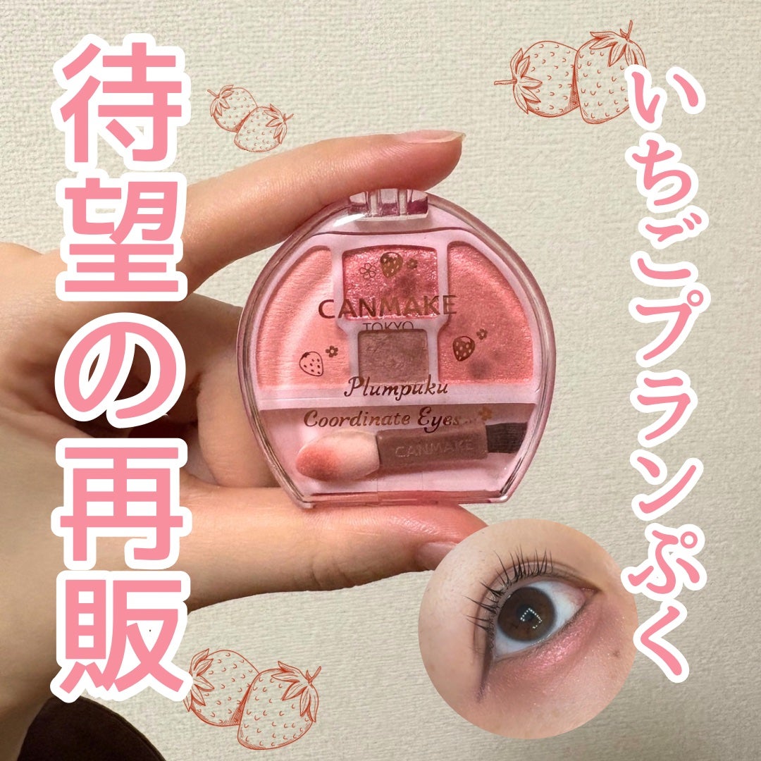 プランぷくコーデアイズ/キャンメイク/パウダーアイシャドウを使ったクチコミ(1枚目)