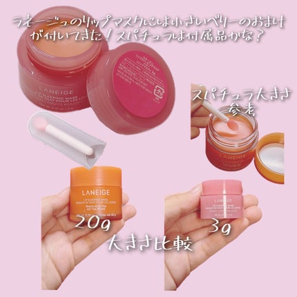 リップスリーピングマスク/LANEIGE/リップバームを使ったクチコミ(6枚目)