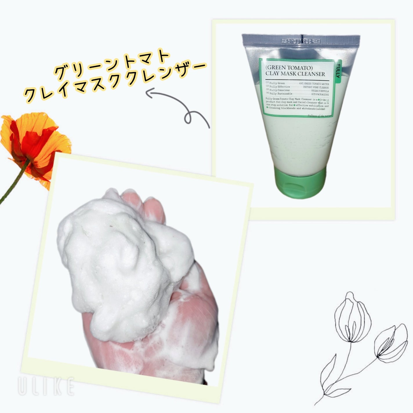 グリーントマトクレイマスククレンザー/FULLY/洗い流すパック・マスクを使ったクチコミ(3枚目)