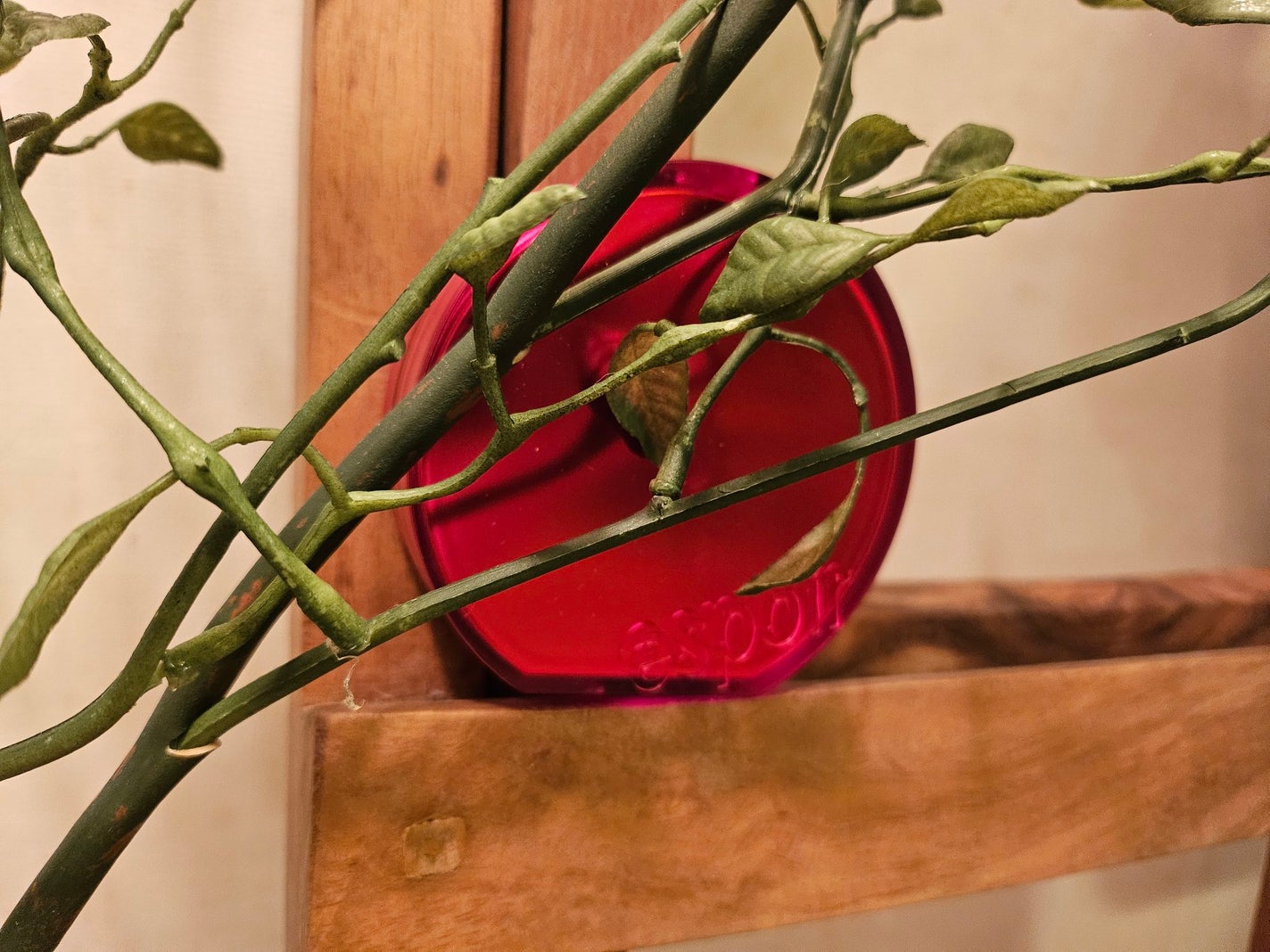 ビーベルベットカバークッション/espoir/クッションファンデーションを使ったクチコミ(2枚目)