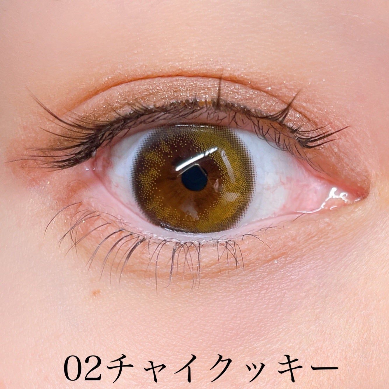 KM マルチパーパスパレット/DAISO/アイシャドウパレットを使ったクチコミ(6枚目)