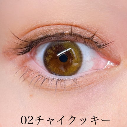 KM マルチパーパスパレット/DAISO/アイシャドウパレットを使ったクチコミ(6枚目)