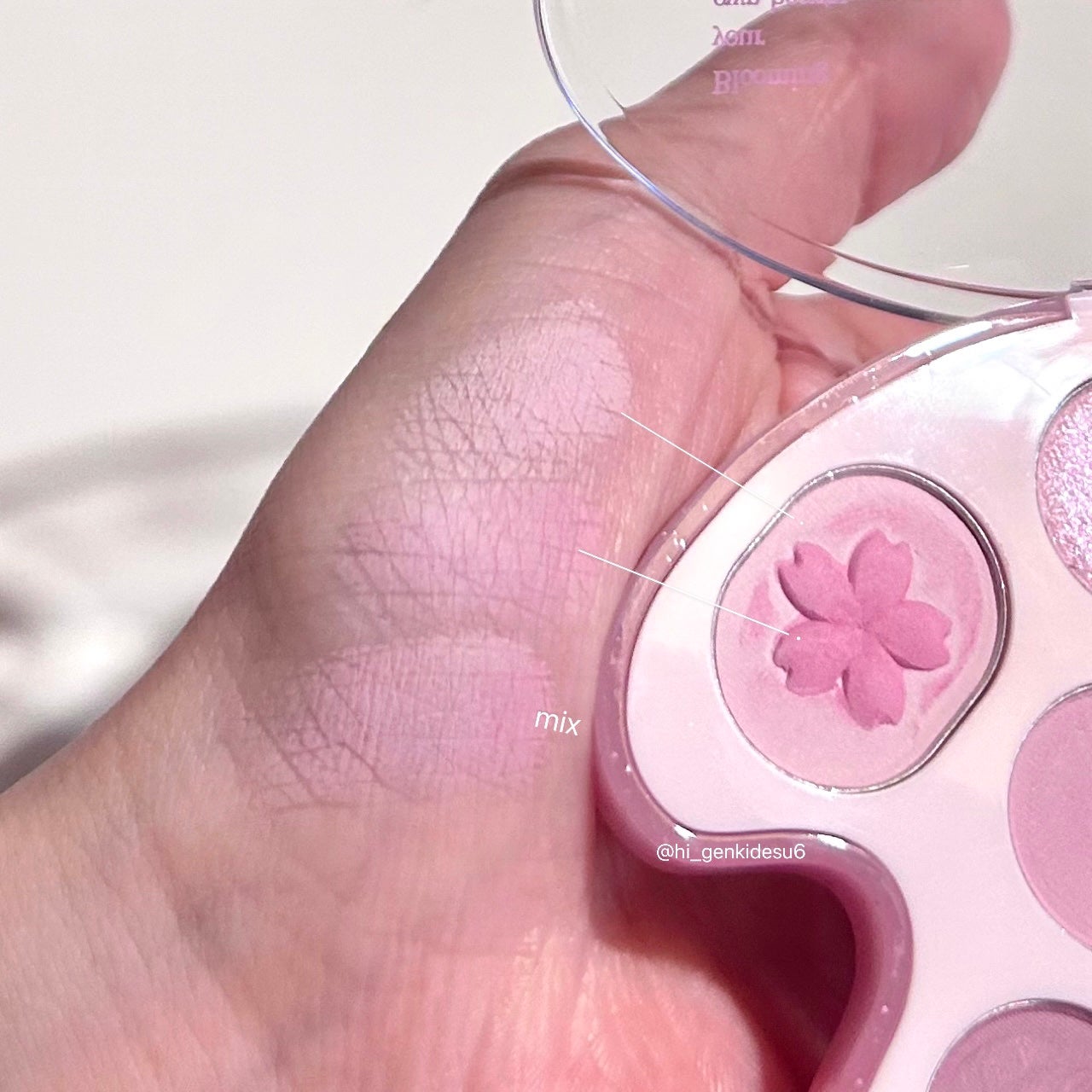 シャドウパレット/dasique/アイシャドウパレットを使ったクチコミ(4枚目)