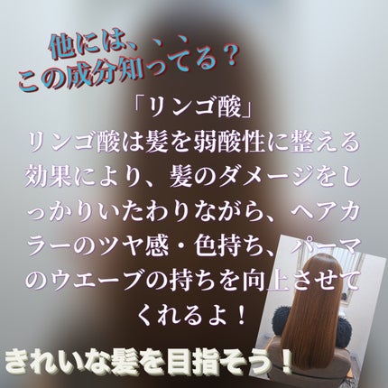 あめちゃん🐱 on LIPS 「💇♀️きれいな髪を保つ 知識編スライドに載せきれなかった内容..」(5枚目)