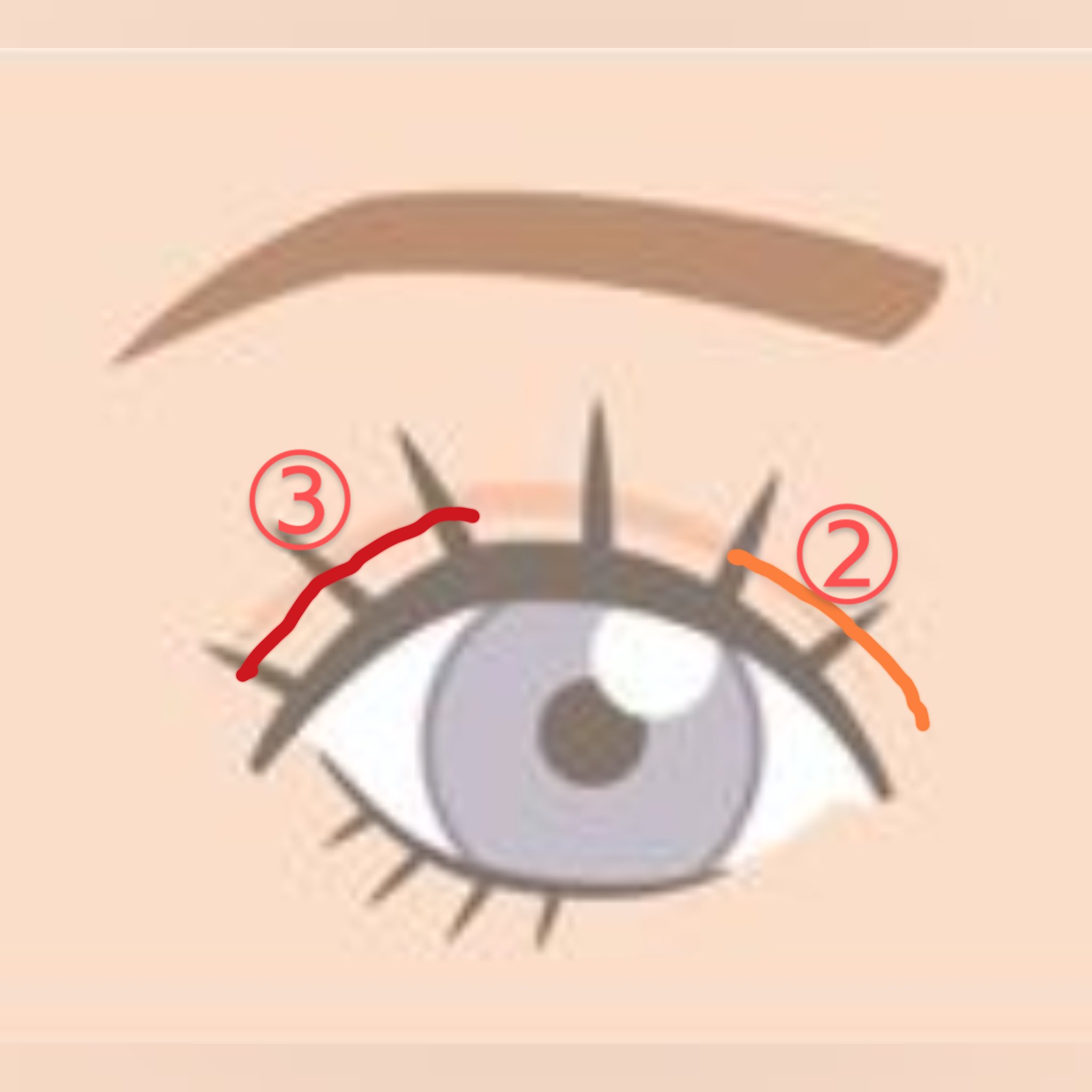 ケイト メロウブラウンアイズ/KATE/アイシャドウパレットを使ったクチコミ（3枚目）