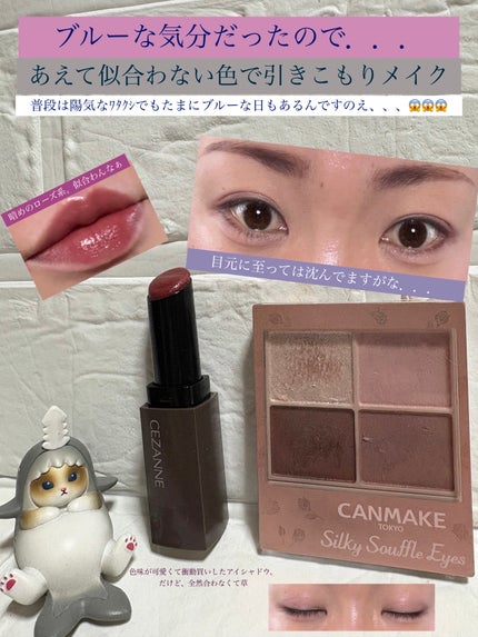 リップカラーシールド/CEZANNE/口紅を使ったクチコミ(1枚目)