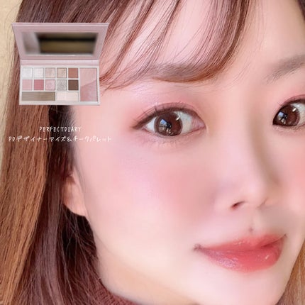 PERFECTDIARY アイシャドウ パレット 2 つ エクスプローラ12色 動物アイシャドウパレット / PERFECT DIARY