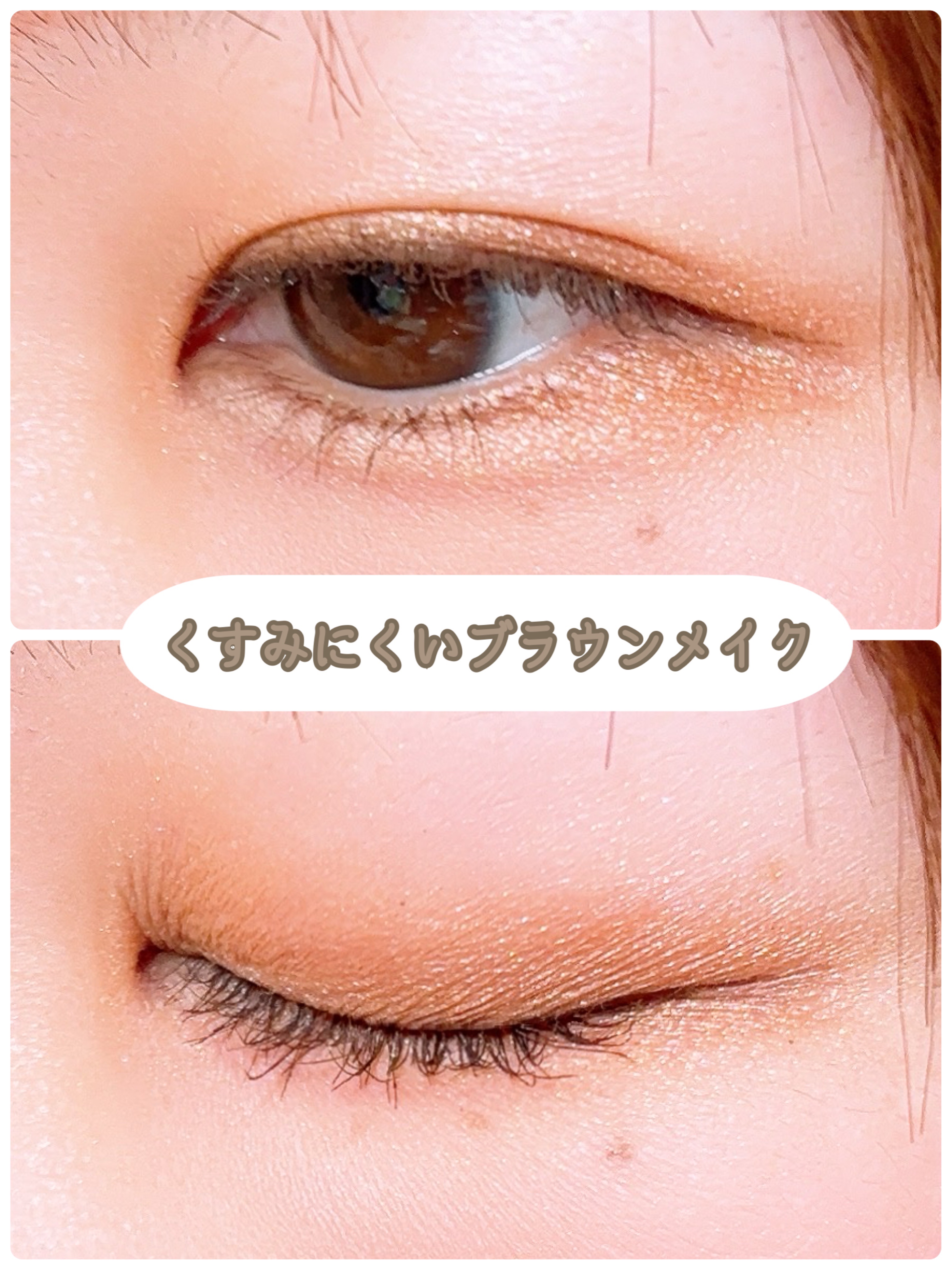 アニマルアイシャドウ(4シェード) 06 平凡な愛/ZEESEA/アイシャドウパレットを使ったクチコミ（1枚目）