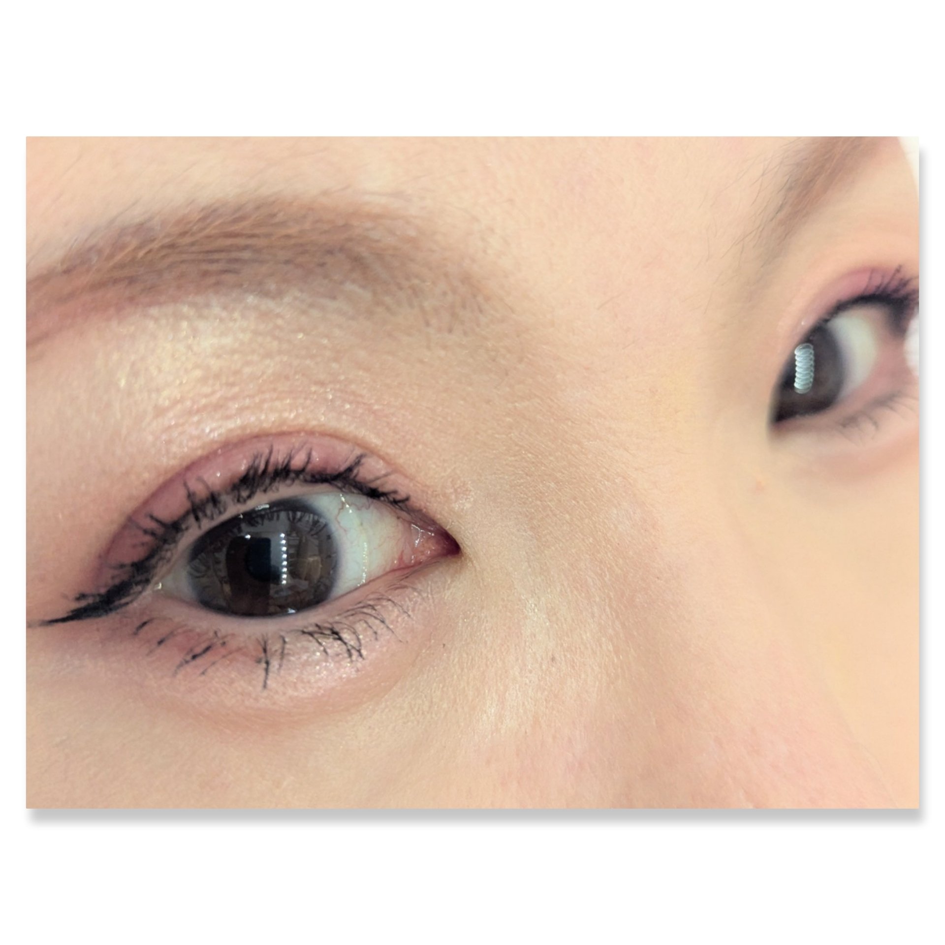 プレイカラーアイズミニ　ローズボム/ETUDE/アイシャドウパレットを使ったクチコミ（2枚目）