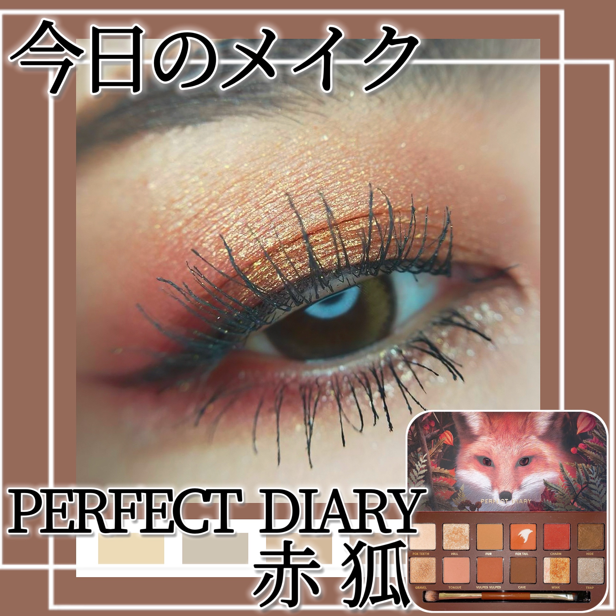 エクスプローラ12色 動物アイシャドウパレット/PERFECT DIARY/アイシャドウパレットを使ったクチコミ（1枚目）