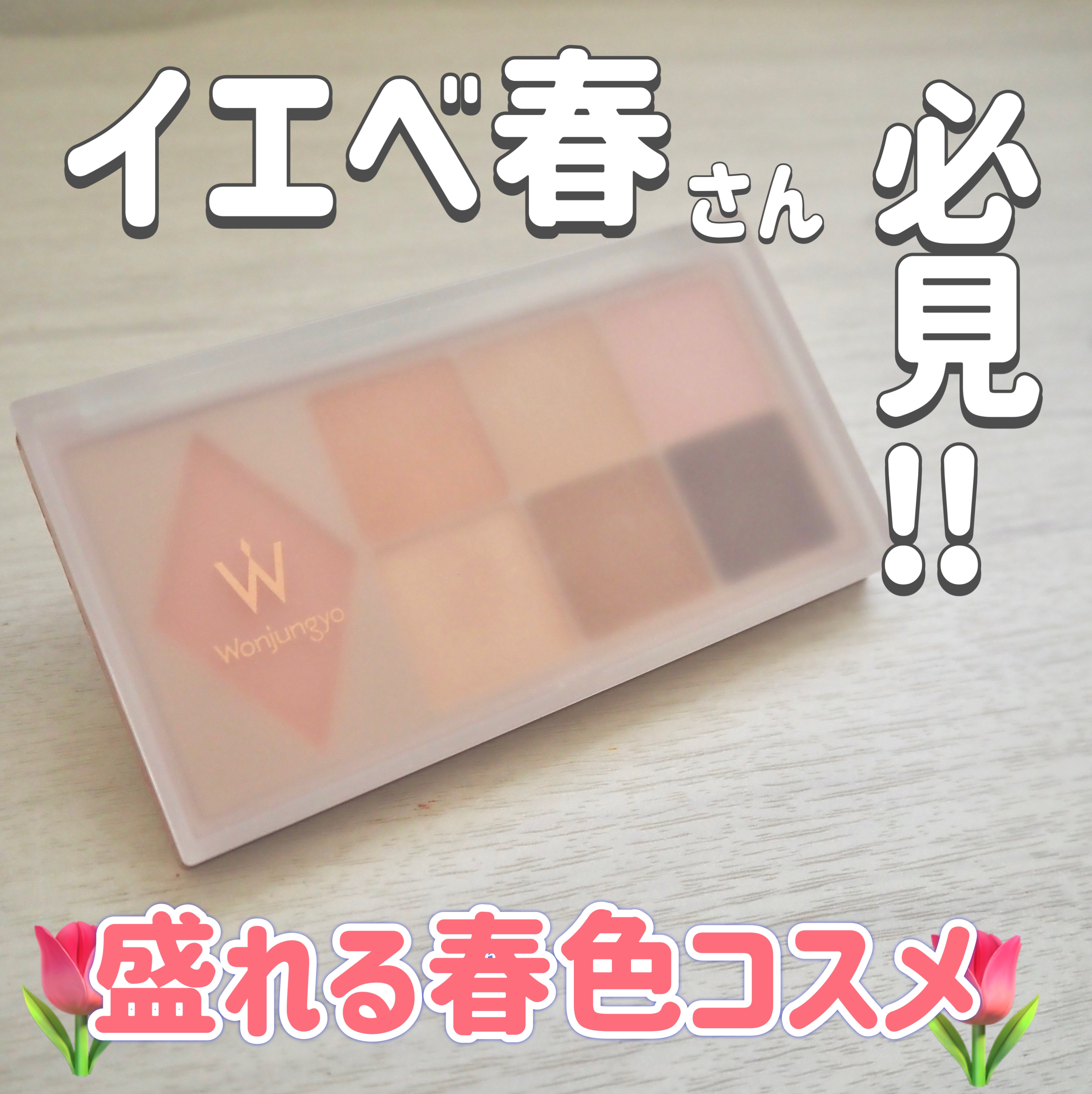 ウォンジョンヨ Ｗ デイリームードアップパレット /Wonjungyo/アイシャドウパレットを使ったクチコミ（1枚目）