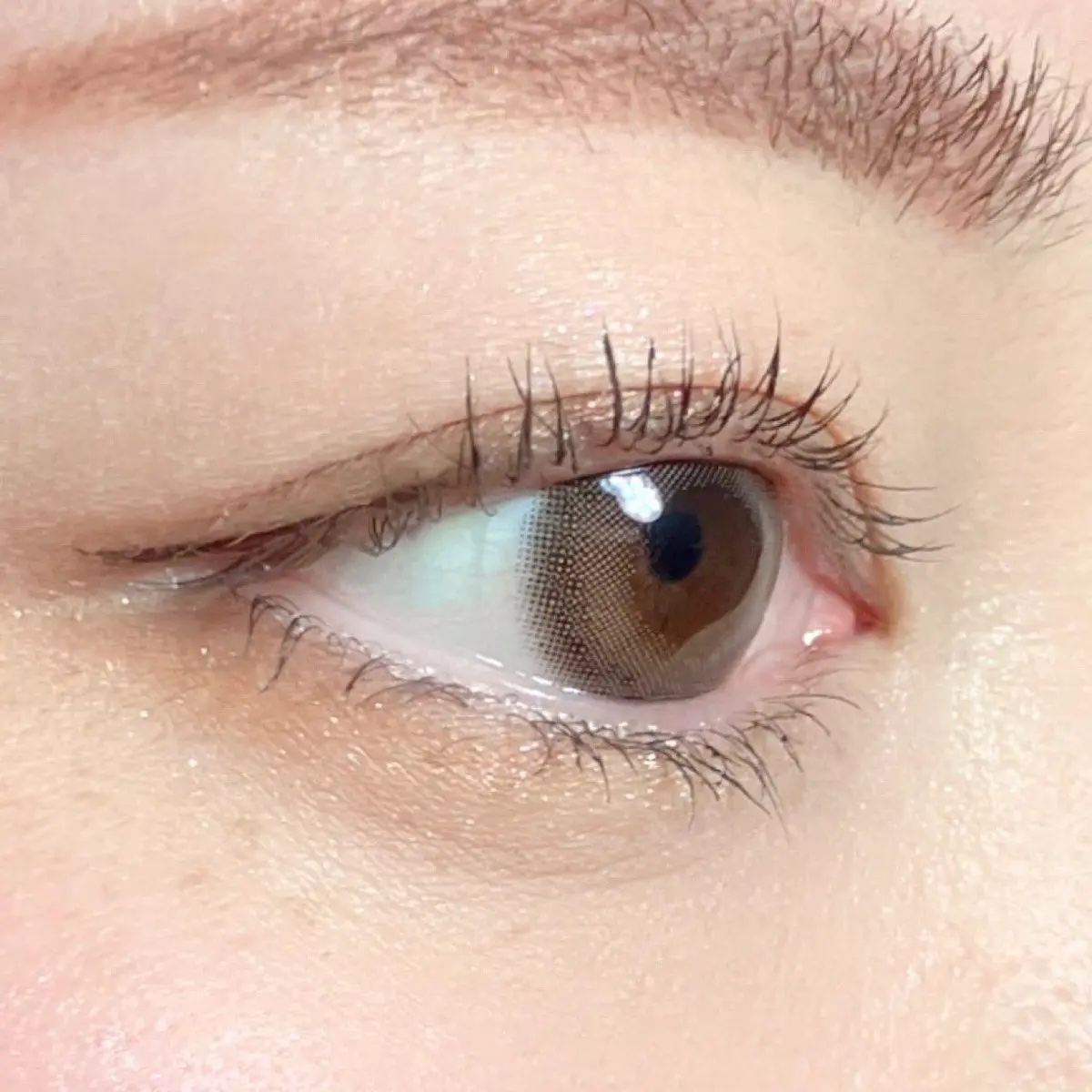 シャドウパレット/dasique/アイシャドウパレットを使ったクチコミ（2枚目）