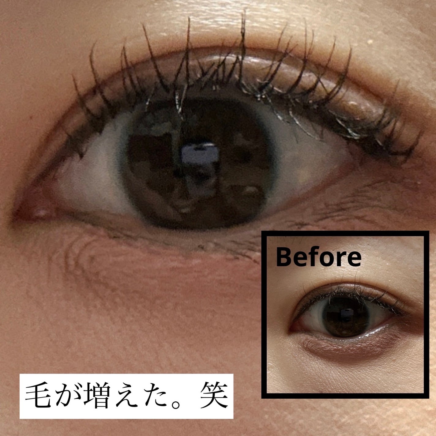 ãå¡ãã€ããŸã€ããèªãŸã€ãéç«ãŠã¿ã€ã/ããžã£ãŽã¥/ãã¹ã«ã©ã䜿ã£ãã¯ãã³ãïŒ4æç®ïŒ