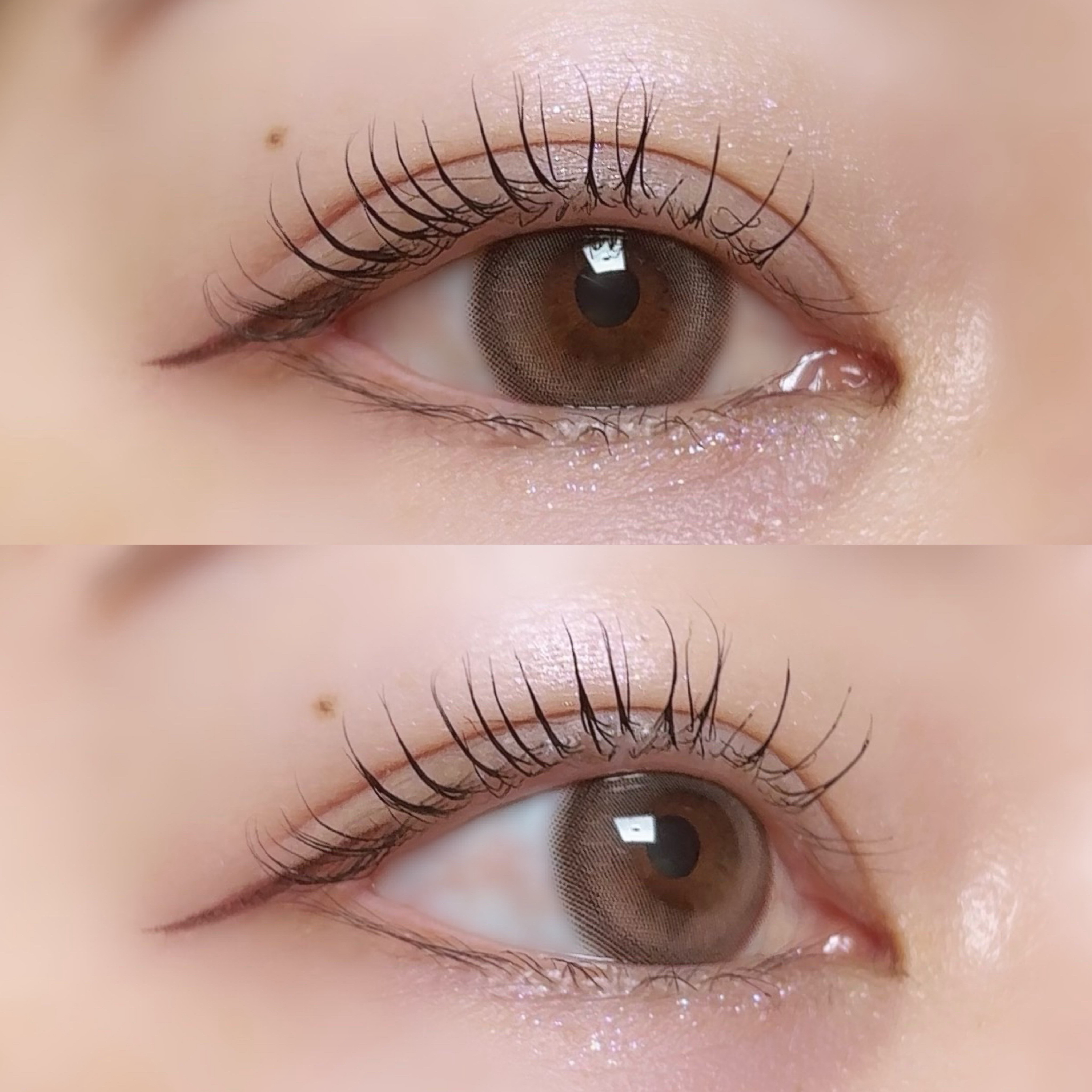 Bean Kristin 1day/Hapa kristin/ワンデー（１DAY）カラコンを使ったクチコミ（3枚目）