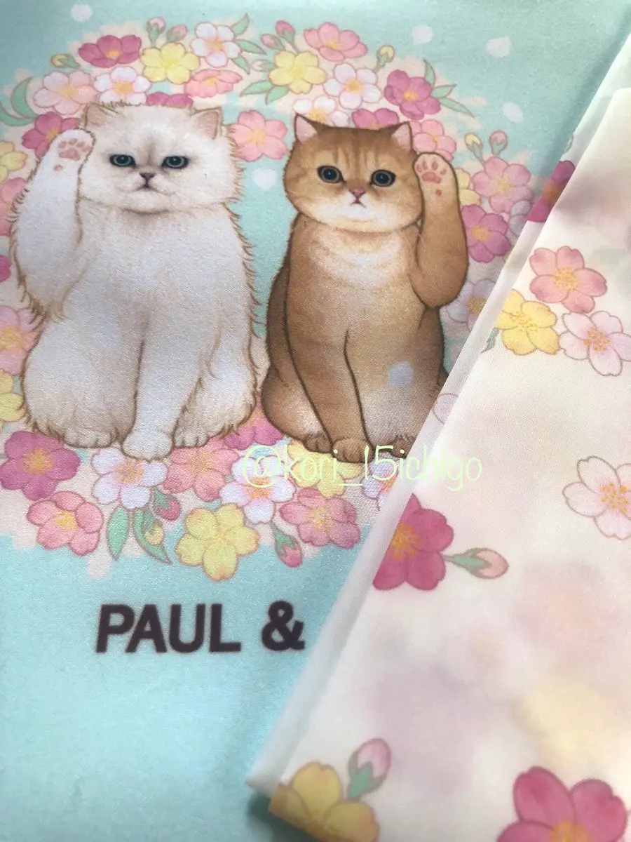 コンパクト リミテッド P/PAUL & JOE BEAUTE/その他化粧小物を使ったクチコミ（2枚目）