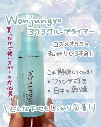 ウォンジョンヨ アクアグルー プライマー/Wonjungyo/化粧下地を使ったクチコミ(1枚目)