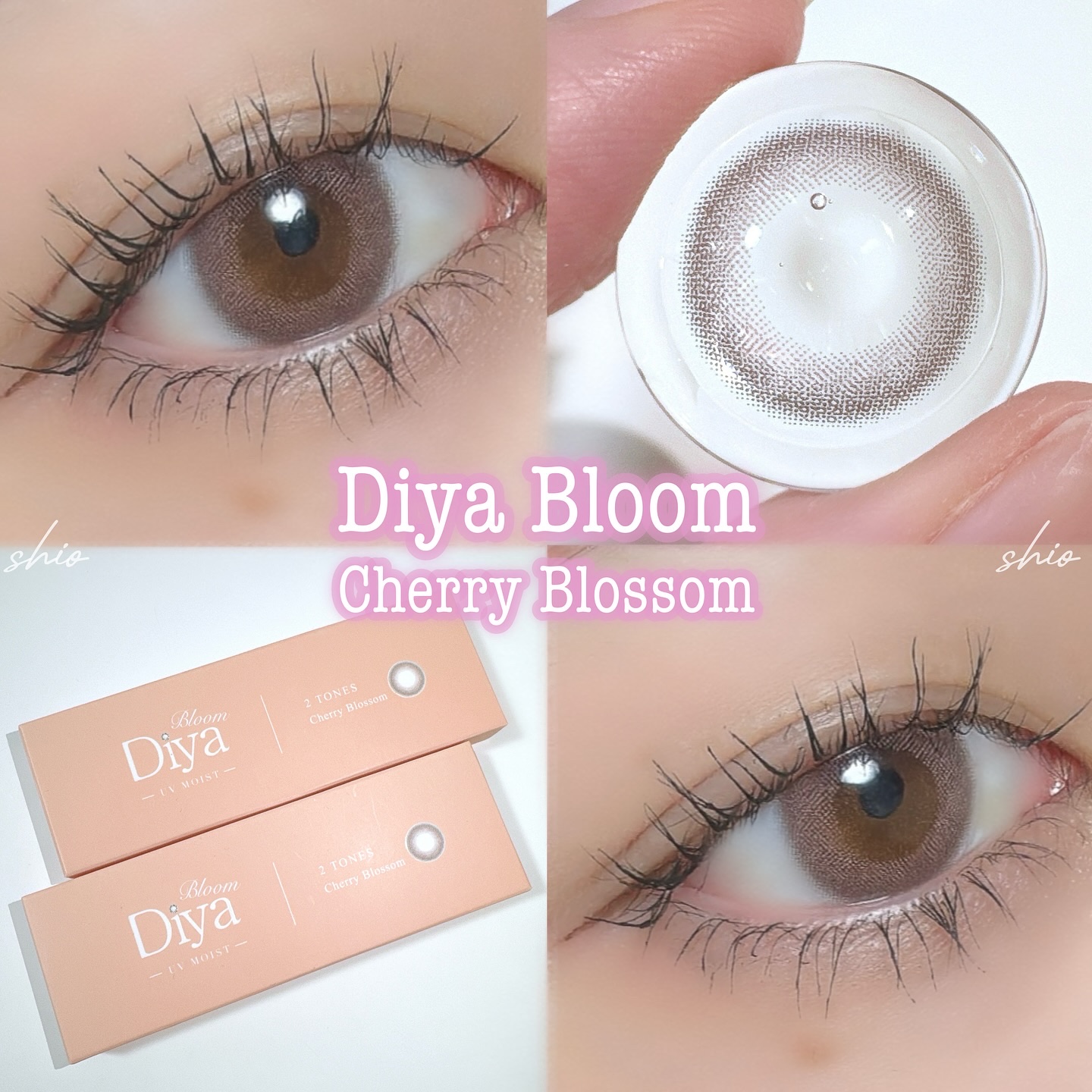 Diya Bloom UVモイスト/Diya/カラーコンタクトレンズを使ったクチコミ（1枚目）