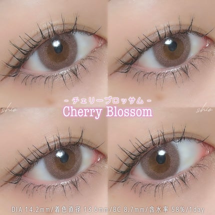 Diya Bloom UVモイスト/Diya/カラーコンタクトレンズを使ったクチコミ(2枚目)