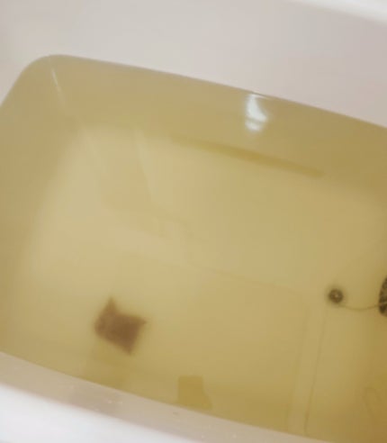 あったか美人/ほんの木/生薬系入浴剤を使ったクチコミ(5枚目)