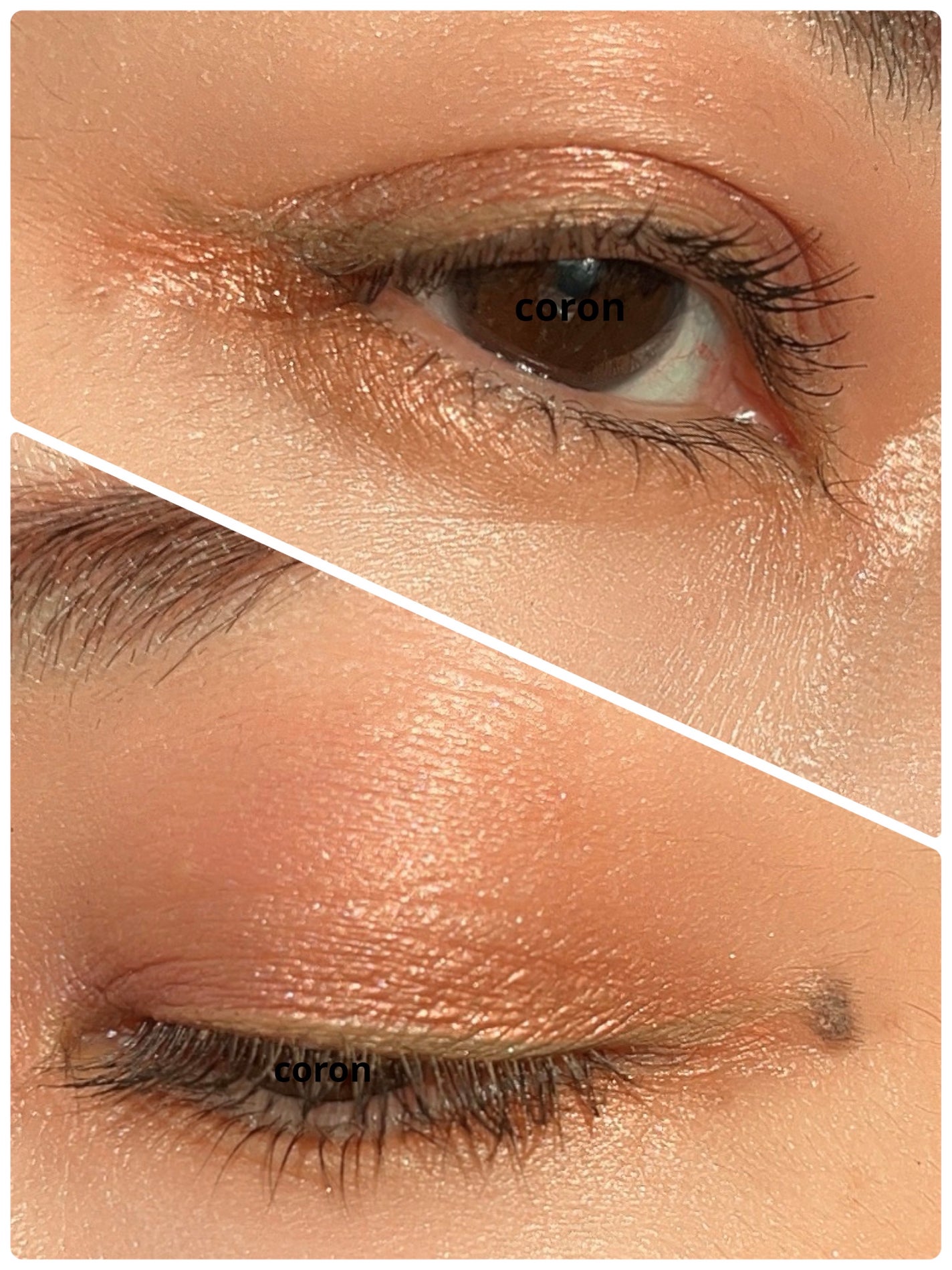 「塗るつけまつげ」自まつげ際立てタイプ/デジャヴュ/マスカラを使ったクチコミ(2枚目)