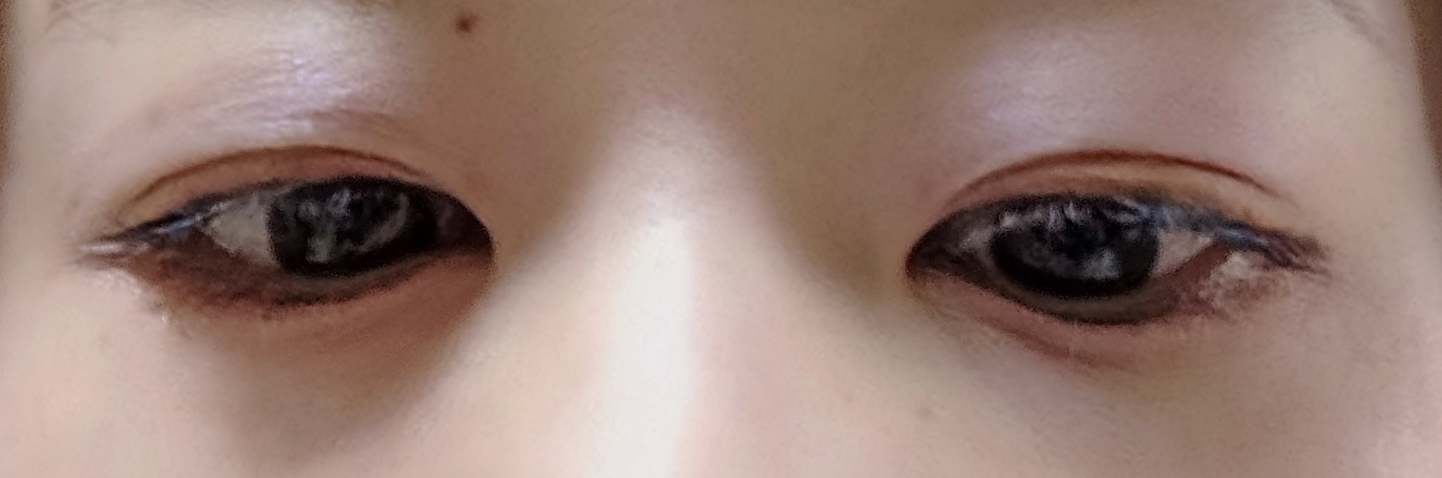 アイカラーレーション EX39 Shell Iridescence/LUNASOL/アイシャドウパレットを使ったクチコミ（3枚目）