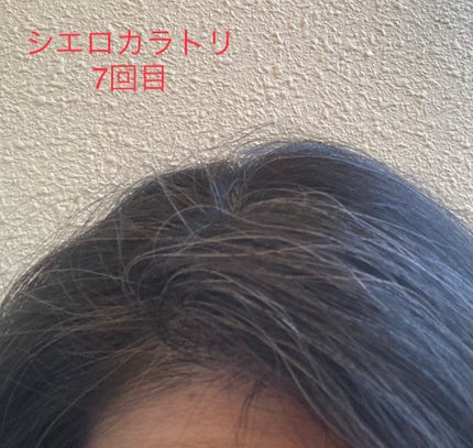 カラートリートメント 全体用 アッシュブラック/CIELO/ヘアカラーの画像
