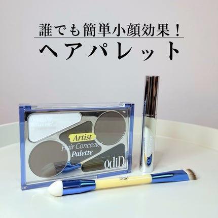 アーティストライン ヘアコンシーラーパレット/odiD/その他スタイリングを使ったクチコミ(1枚目)