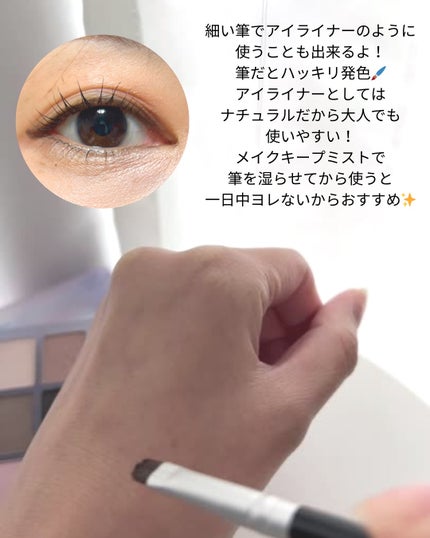 アイシャドウパレット/Healus/アイシャドウパレットを使ったクチコミ(4枚目)