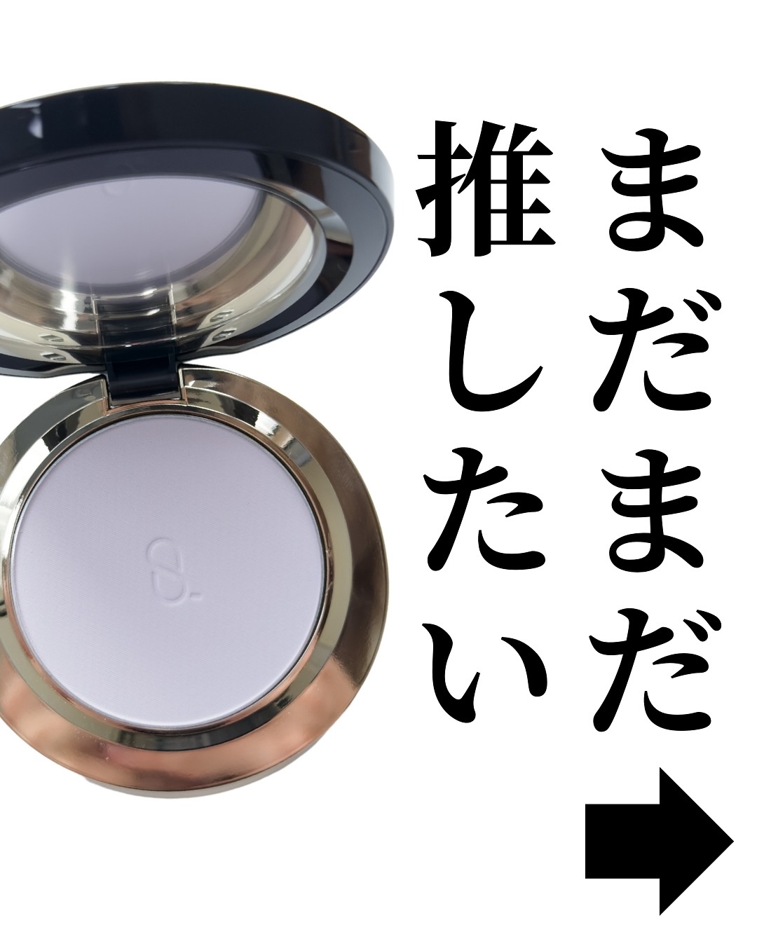 SUQQU ソフトマットセッティングパウダー レフィルケースブラシ