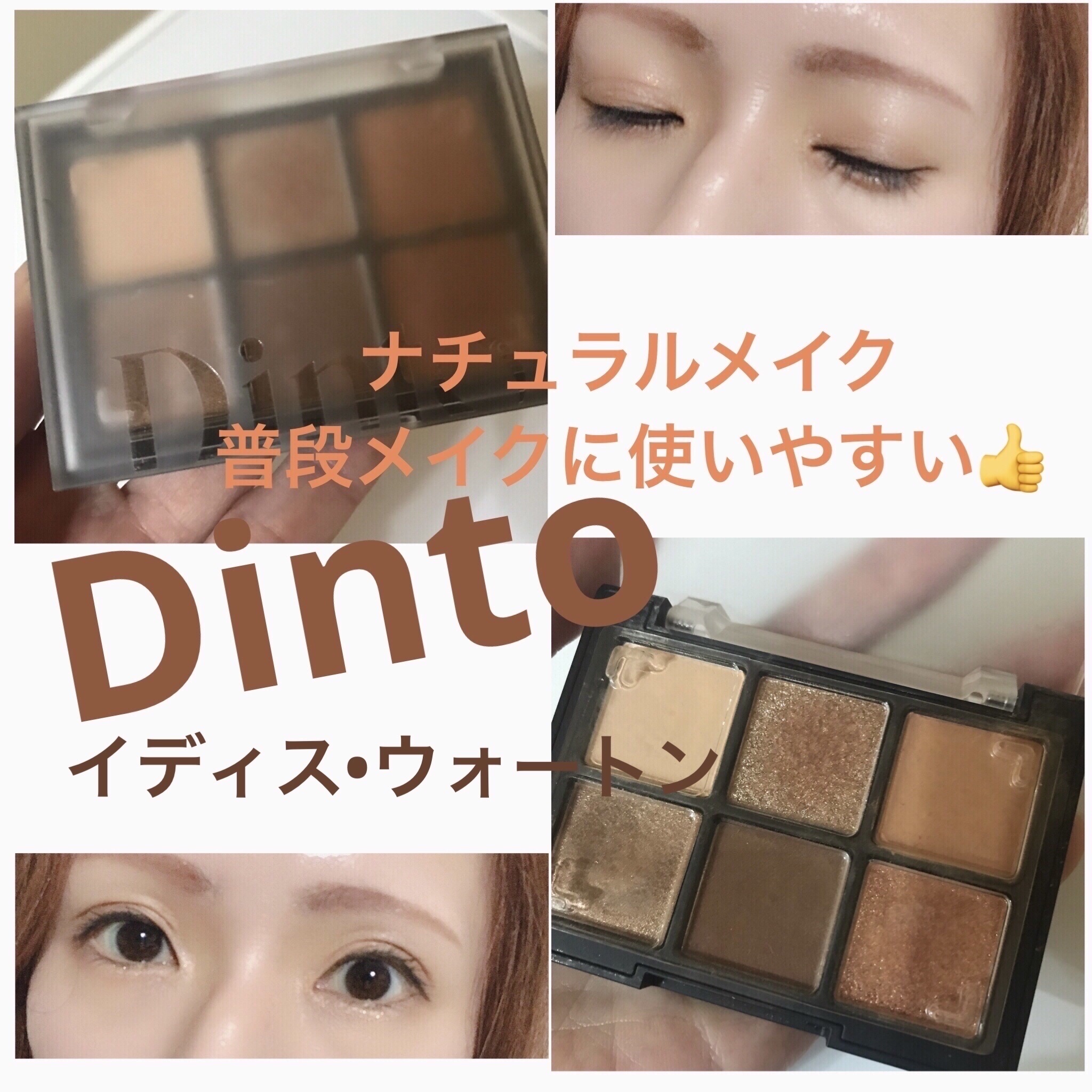 ブラーフィニシュシャドウパレット/Dinto/アイシャドウパレットを使ったクチコミ（1枚目）