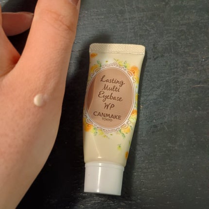 ラスティングマルチアイベース WP/キャンメイク/アイシャドウベースを使ったクチコミ(1枚目)