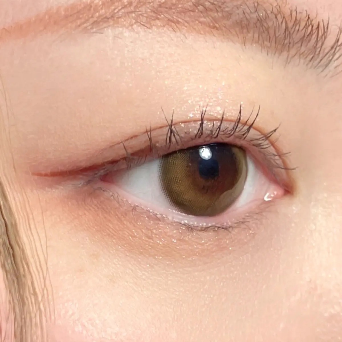 エッセンシャルアイパレット/BBIA/マルチパレットを使ったクチコミ（2枚目）