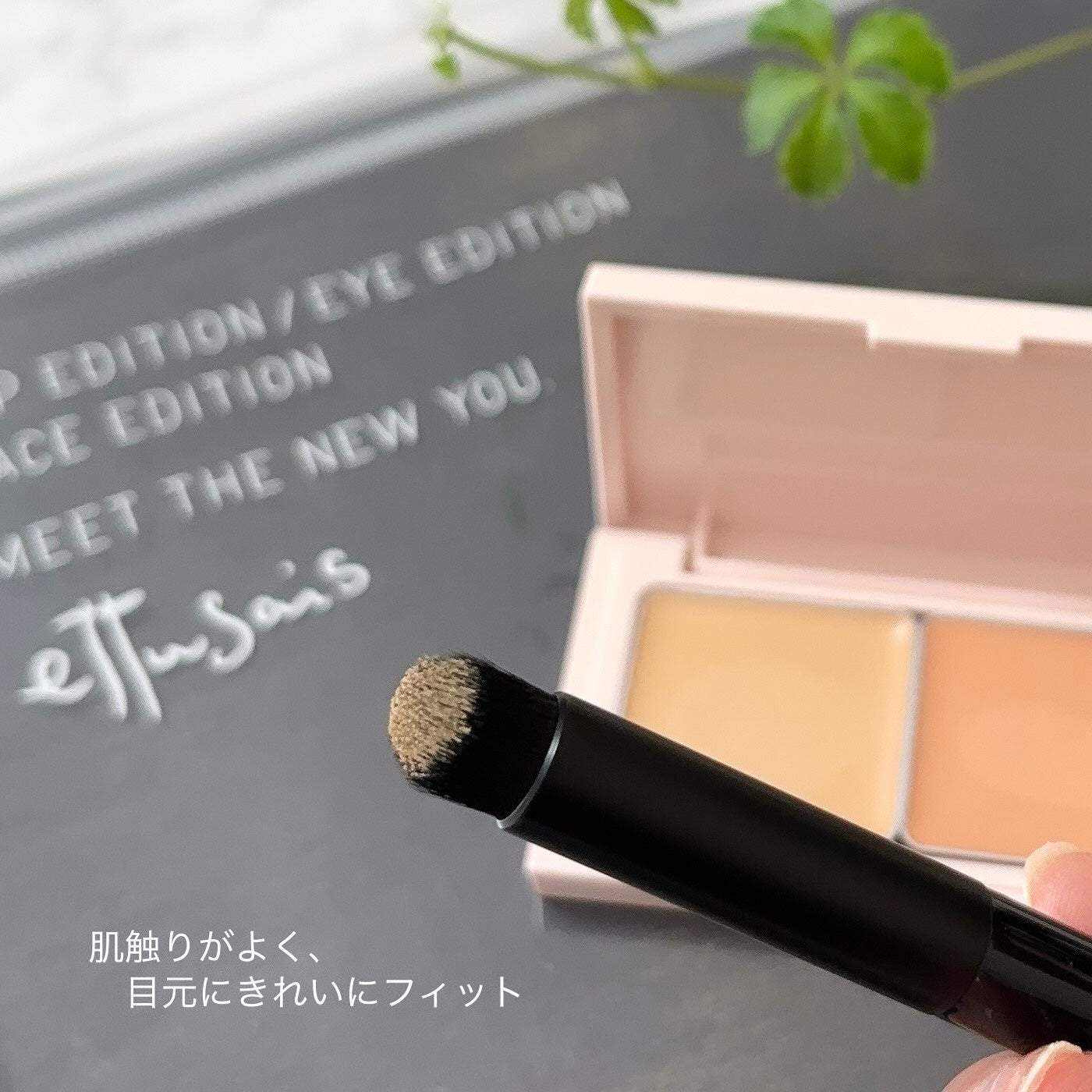 エテュセ アイエディション(ブロウコンシーラー)/ettusais/その他アイブロウを使ったクチコミ(3枚目)