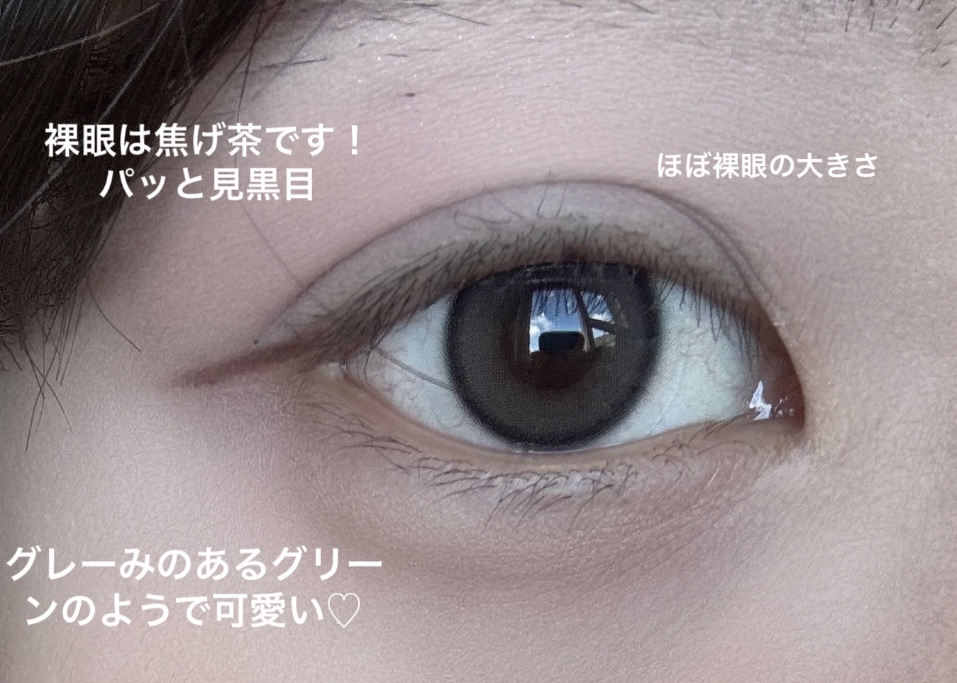 Real Ring 1day/OLENS/ワンデー（１DAY）カラコンを使ったクチコミ（2枚目）