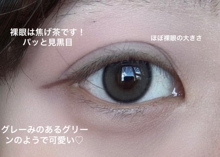 Real Ring 1day/OLENS/ワンデー(1DAY)カラコンを使ったクチコミ(2枚目)