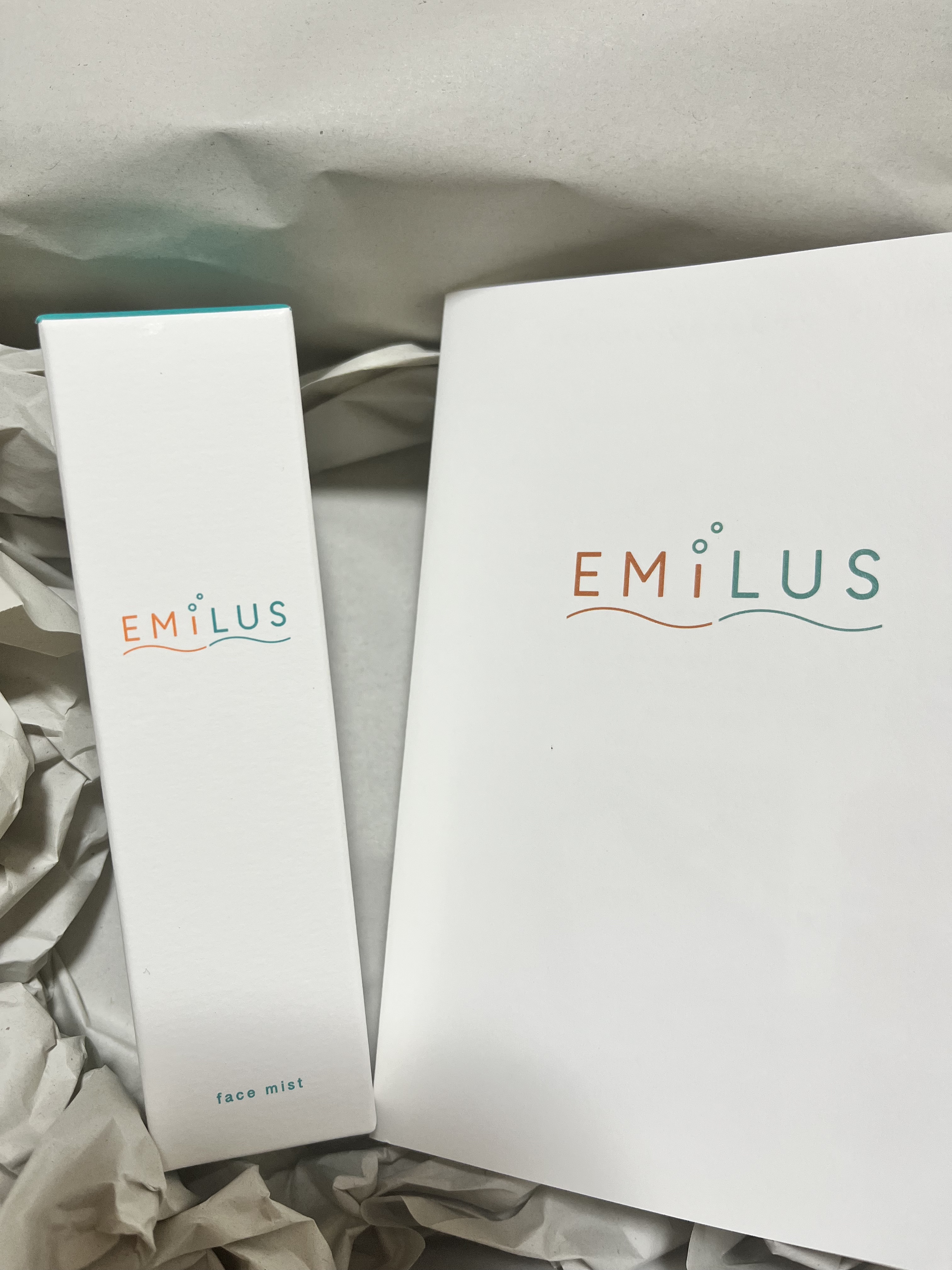 ツヤ肌メイクフィックスミスト/EMILUS/フィックスミストを使ったクチコミ（2枚目）