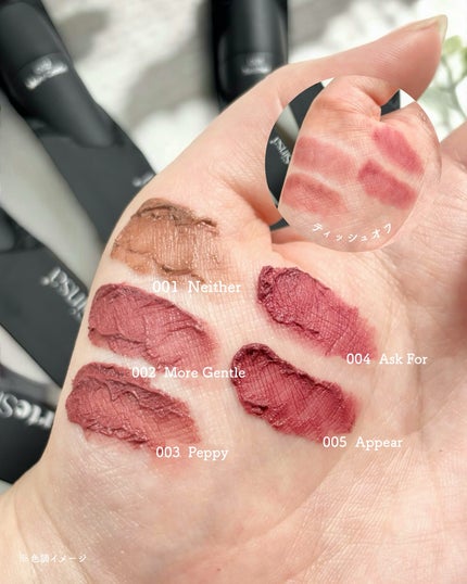 シルキーブラーティント/ArteSinsa/口紅を使ったクチコミ(4枚目)