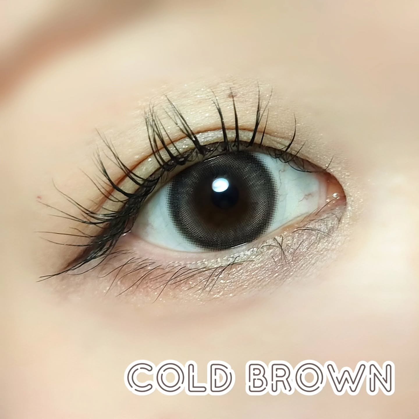 Bean Kristin 1day/Hapa kristin/ワンデー（１DAY）カラコンを使ったクチコミ（3枚目）