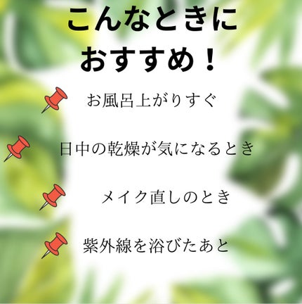 タイガレイド ウォーターミスト Ⅴ/タイガレイド/ミスト状化粧水を使ったクチコミ(3枚目)