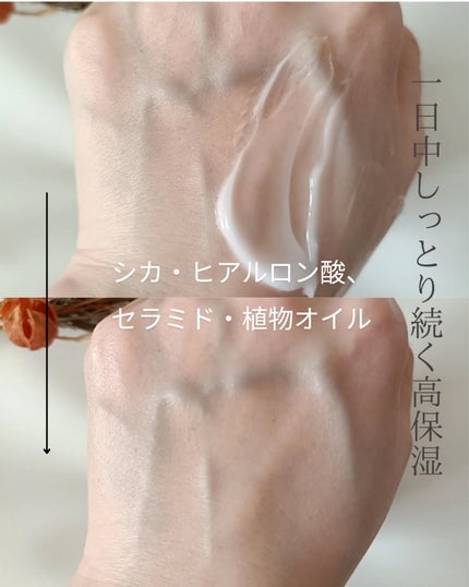 を使ったクチコミ(3枚目)