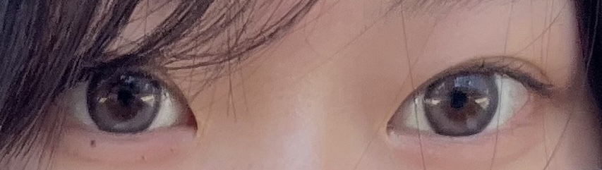 eye closet iDOL Series CANNA ROSE 1day ラベンダーグレー/EYE CLOSET/ワンデー（１DAY）カラコンを使ったクチコミ（2枚目）