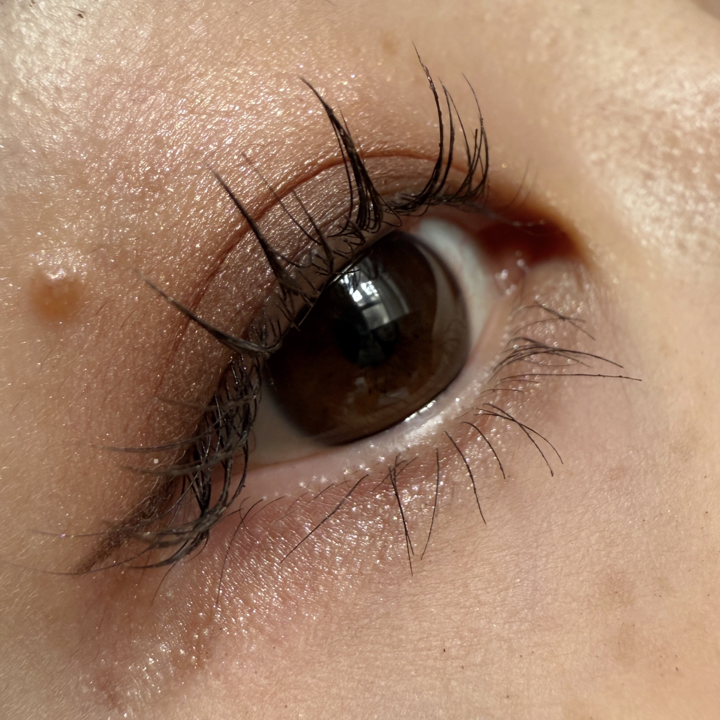 アイ カラー クォード/TOM FORD BEAUTY/アイシャドウパレットを使ったクチコミ（1枚目）