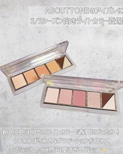 リターントゥーベーシックシャドウパレット/ABOUT TONE/アイシャドウパレットを使ったクチコミ(2枚目)