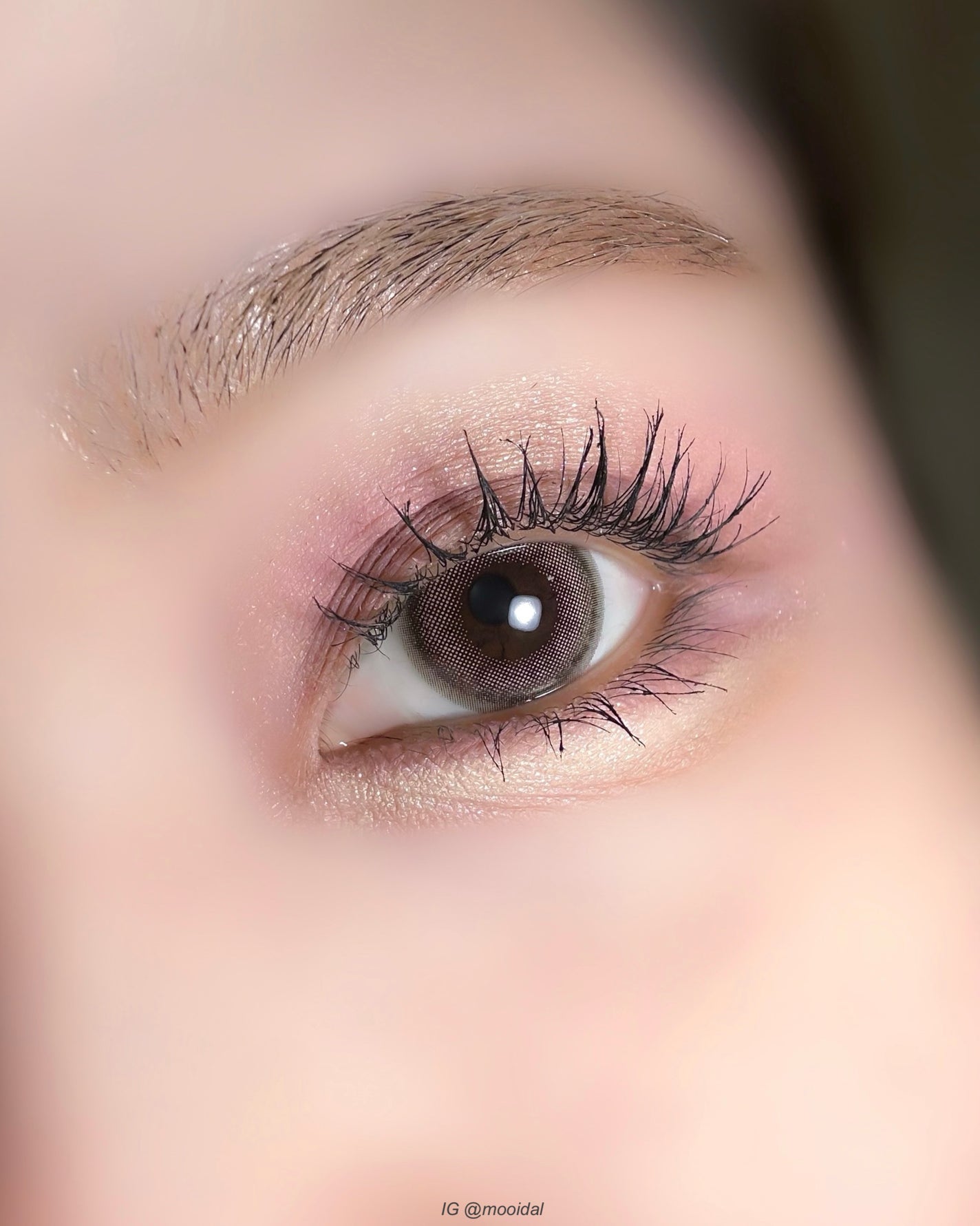 MOLAK 1day/MOLAK/ワンデー(1DAY)カラコンを使ったクチコミ(4枚目)