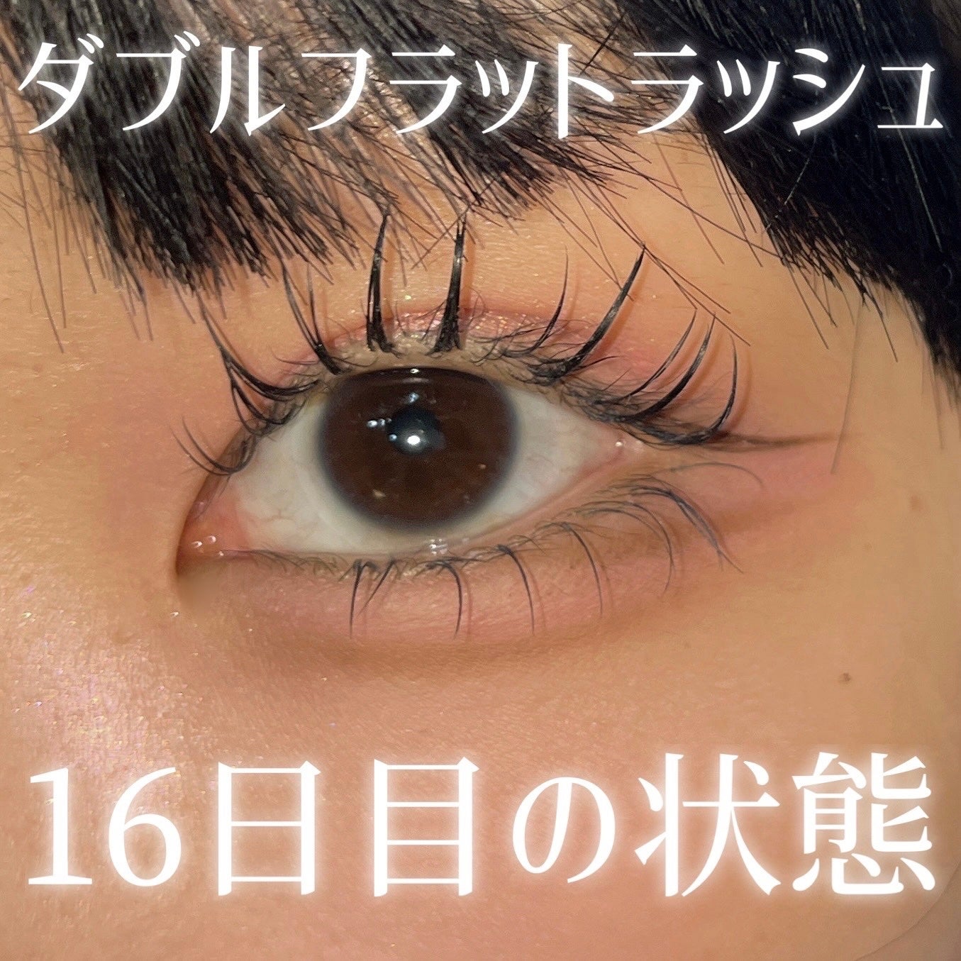 メロウシャドウ/KiSS/ジェル・クリームアイシャドウを使ったクチコミ(1枚目)