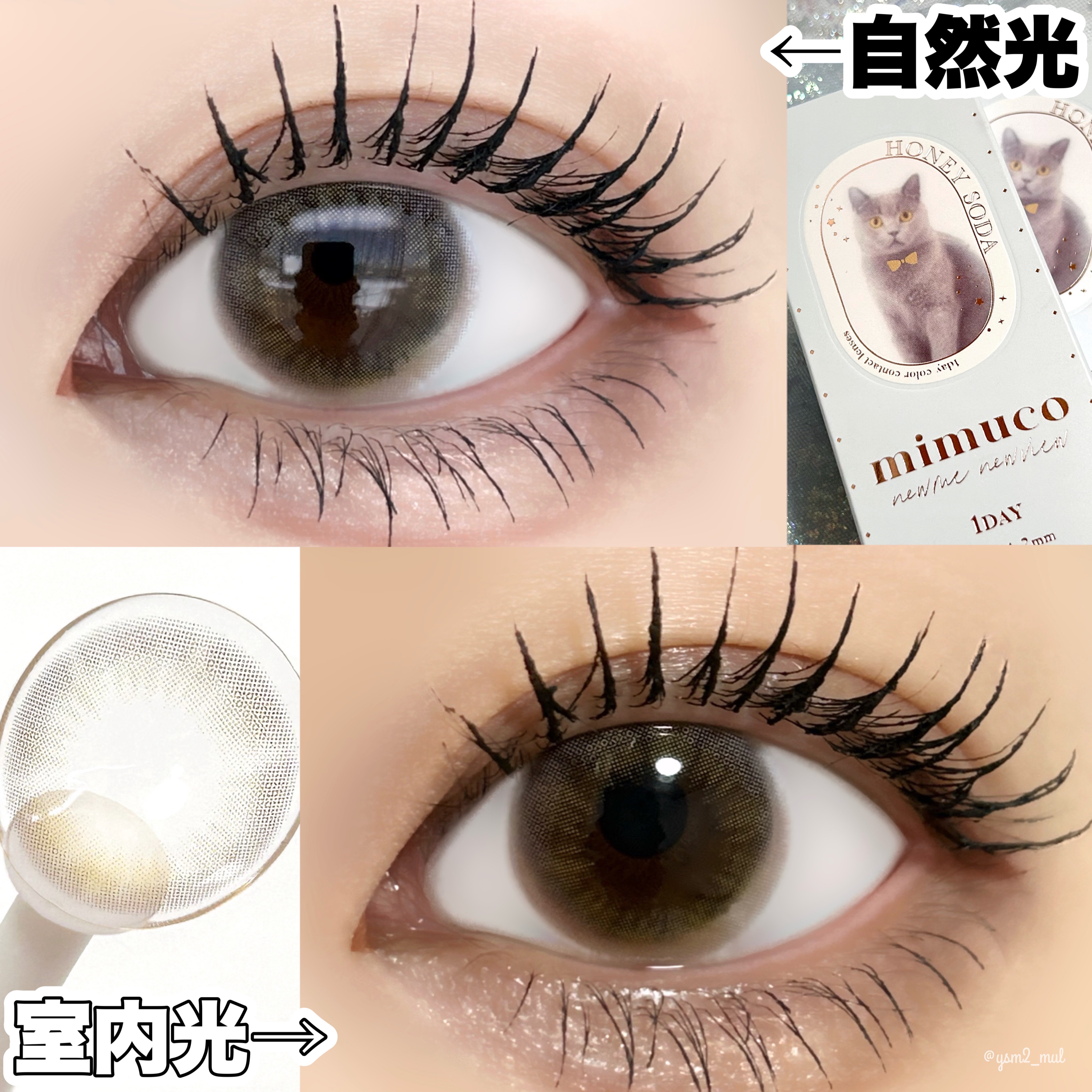 mimuco 1day/mimuco/ワンデー（１DAY）カラコンを使ったクチコミ（3枚目）