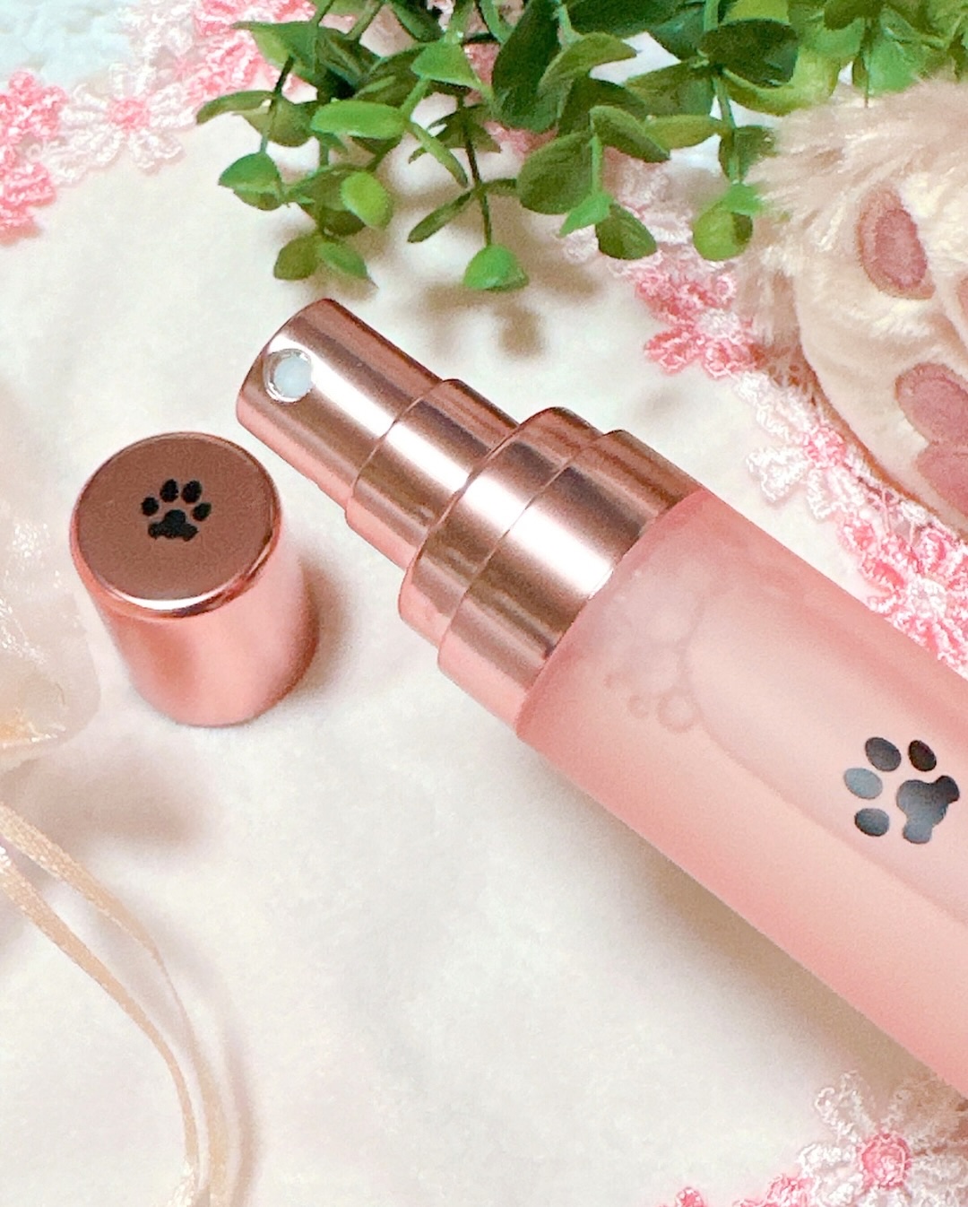 ten/NA·PA/その他を使ったクチコミ（3枚目）