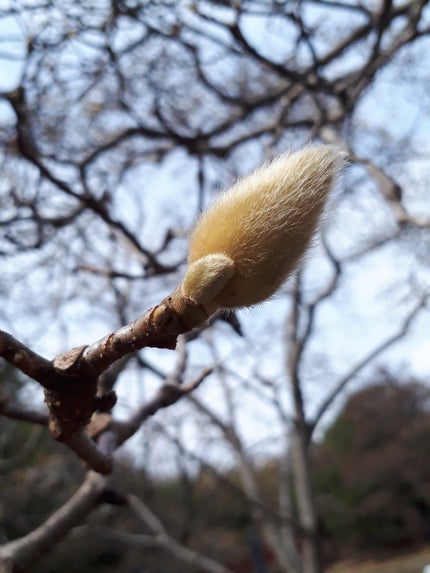 アイプランナー/excel/単色アイシャドウを使ったクチコミ(9枚目)