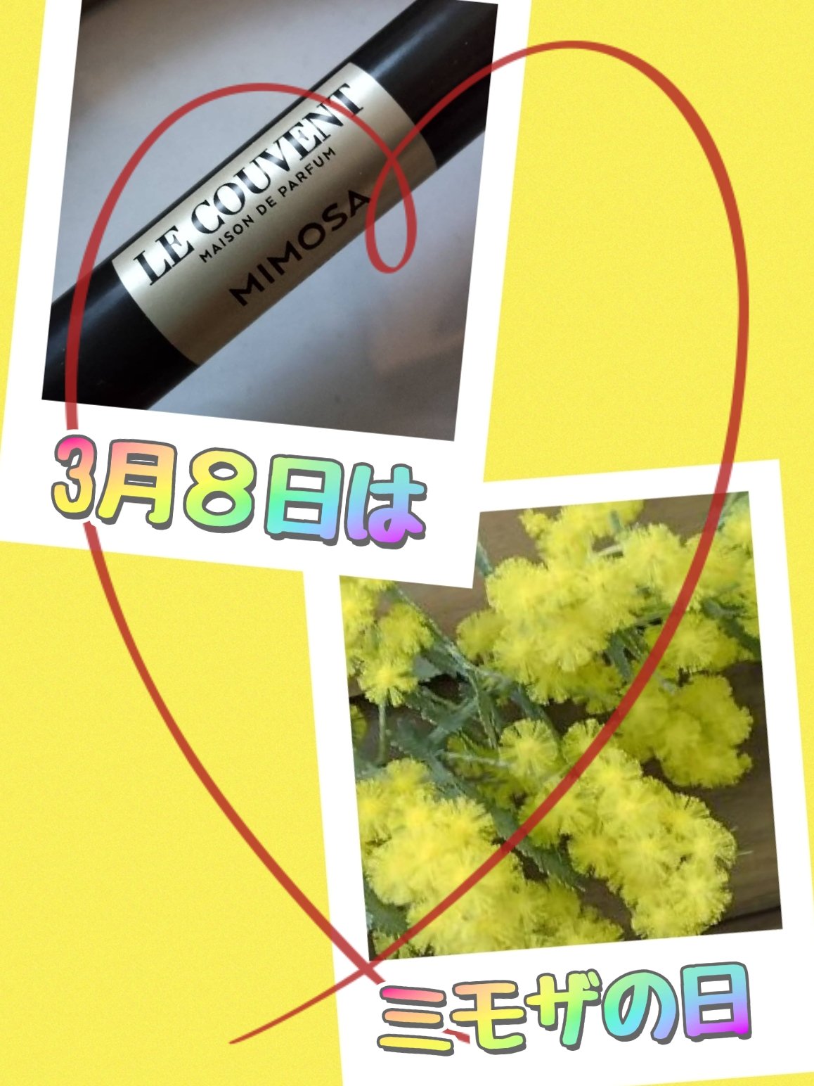 ル クヴォン メゾン ド パルファム シグネチャー ミモザのクチコミ「今日3月8日は海外で「ミモザの日」と呼ばれ、近年では日本でも「女性にミモザの花を贈る日」として.....」（1枚目）
